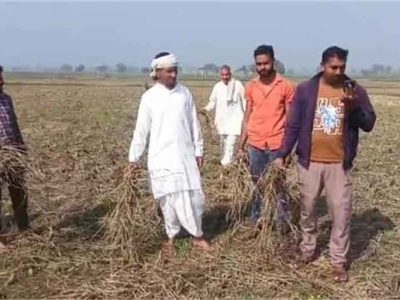 पंजाब में गेहूं खरीद की तैयारी तेज, मंत्री समूह ने प्रबंधों की समीक्षा की