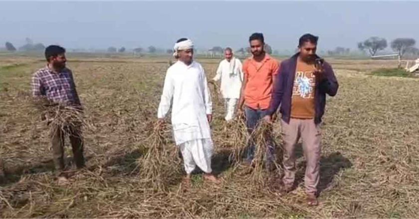 पंजाब में गेहूं खरीद की तैयारी तेज, मंत्री समूह ने प्रबंधों की समीक्षा की