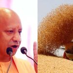 योगी सरकार ने बढ़ाई गेहूं की MSP, 6500 केंद्रों पर कब से शुरू होगी खरीद?