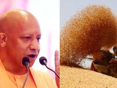 योगी सरकार ने बढ़ाई गेहूं की MSP, 6500 केंद्रों पर कब से शुरू होगी खरीद?