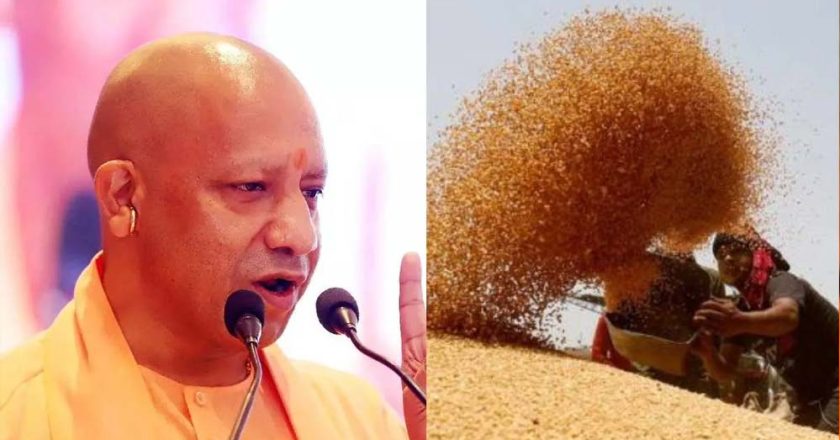 योगी सरकार ने बढ़ाई गेहूं की MSP, 6500 केंद्रों पर कब से शुरू होगी खरीद?