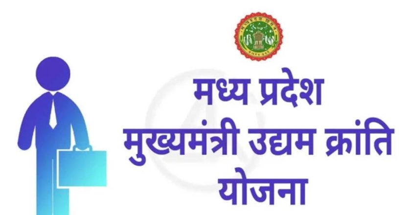 मेहनत और योजना का साथ, कविता दुबे ने खड़ा किया सफल व्यवसाय