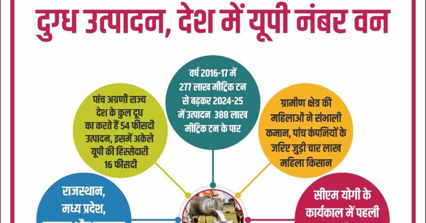 योगी सरकार में बढ़ा 40 फीसदी दुग्ध उत्पादन, देश में यूपी नंबर वन