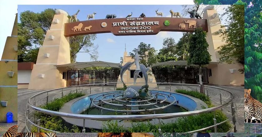इंदौर चिड़ियाघर में बनेगी अंडर वॉटर टनल, दुबई और सिंगापुर की तर्ज पर 35 करोड़ का मॉडल