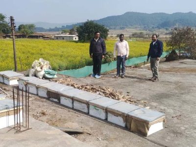 रायपुर : मधुमक्खी पालन: कम लागत में ज्यादा मुनाफे का बेहतर विकल्प