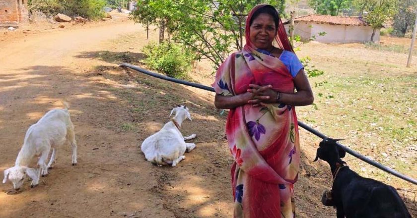 रायपुर : महतारी वंदन योजना से संवर रही पहाड़ी कोरवा परिवारों की तकदीर