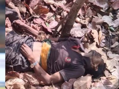 जंगल की खामोशी में गूंजी चीख: महुआ बीनने गए ग्रामीण की हाथी हमले में दर्दनाक मौत