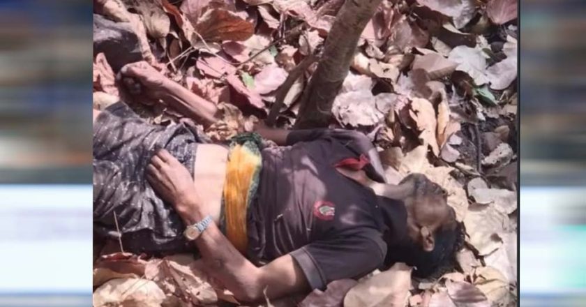 जंगल की खामोशी में गूंजी चीख: महुआ बीनने गए ग्रामीण की हाथी हमले में दर्दनाक मौत