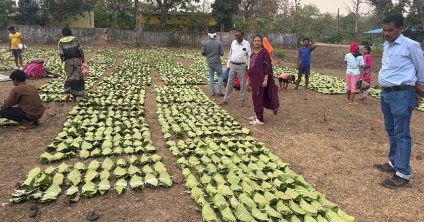 हरा सोना संग्राहकों की आय बढ़ाने के लिए बड़ा कदम, 920 करोड़ रुपए का होगा संभावित भुगतान