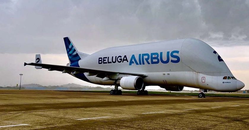 रीवा में उतरेंगे एयरबस जैसे बड़े विमान, रनवे को 2300 मीटर करने के लिए जमीन का होगा अधिग्रहण, 340 करोड़ मुआवजा मिलेगा