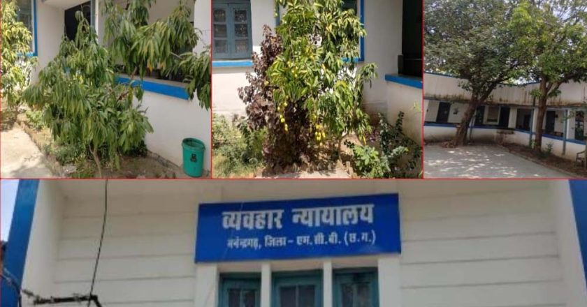 हरियाली की गोद में न्याय का मंदिर:मनेन्द्रगढ़ न्यायालय परिसर बना प्रकृति का मनमोहक आंगन