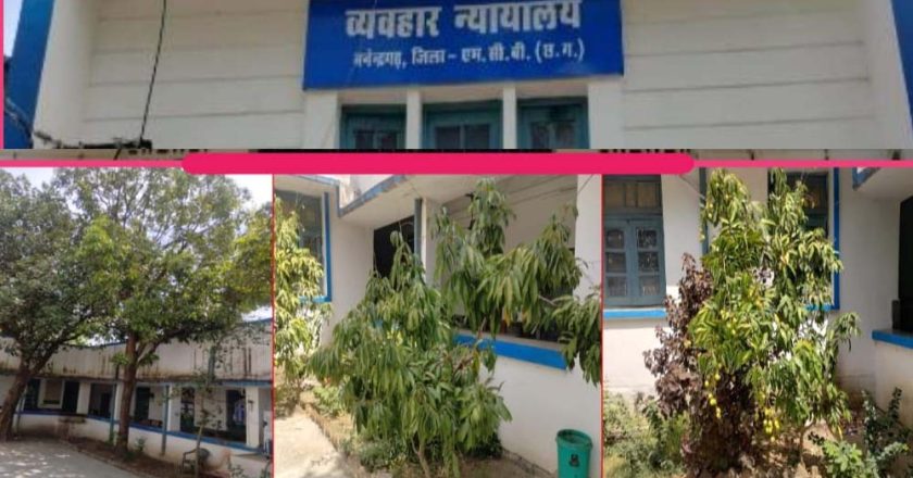 हरियाली से महका मनेन्द्रगढ़ न्यायालय परिसर, फलदार वृक्ष बने आकर्षण का केंद्र