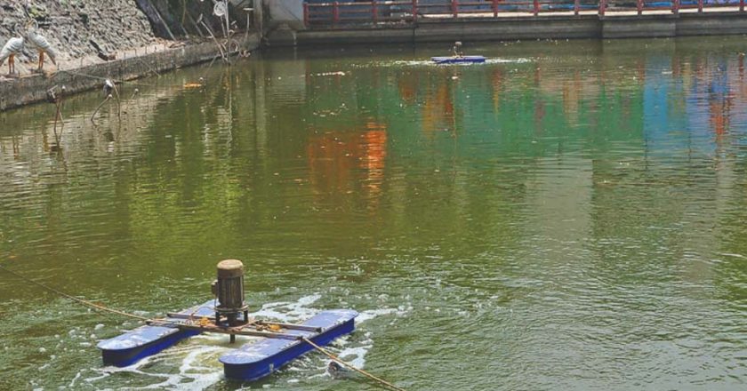 तालाबों की गुणवत्ता सुधारने के लिए निगम की नई पहल, नैनो एरेटर तकनीक से 10 दिन में दिखा असर