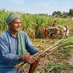 बिहार में गन्ना किसानों को राहत, हर जिले में बनेंगे कस्टम हायरिंग सेंटर