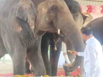 जयपुर के हाथी गांव में मना अनंत अंबानी का जन्मदिन, हाथियों ने काटा ढाई फीट ऊंचा केक और 3000 किलो फलों की उड़ाई दावत