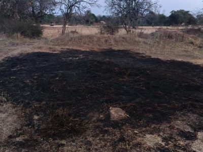 आग का कहर किसान की फसल जलकर खाक