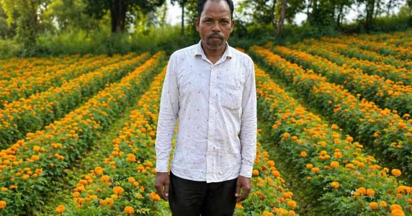 फूलों की खुशबू से महकी किस्मत ईश्वरचरण पैकरा का