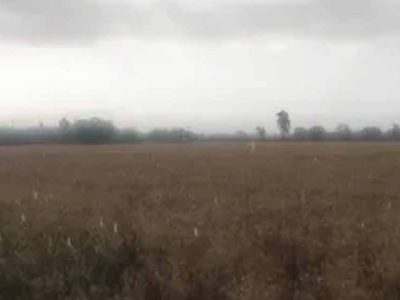 पंजाब में मौसम का कहर: ओलावृष्टि का ऑरेंज अलर्ट, आज-कल आंधी के साथ तेज बारिश की चेतावनी