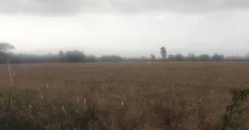 पंजाब में मौसम का कहर: ओलावृष्टि का ऑरेंज अलर्ट, आज-कल आंधी के साथ तेज बारिश की चेतावनी