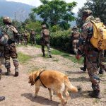 जम्मू-कश्मीर के गांदरबल में सुरक्षाबलों का बड़ा एक्शन, मुठभेड़ में एक आतंकी ढेर, दो अभी भी घेरे में