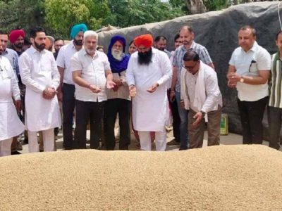 पंजाब की मंडियों में गेहूं की रिकॉर्ड आवक: 24 लाख मीट्रिक टन फसल की खरीद, किसानों को मिली बड़ी राहत