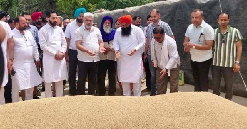 पंजाब की मंडियों में गेहूं की रिकॉर्ड आवक: 24 लाख मीट्रिक टन फसल की खरीद, किसानों को मिली बड़ी राहत