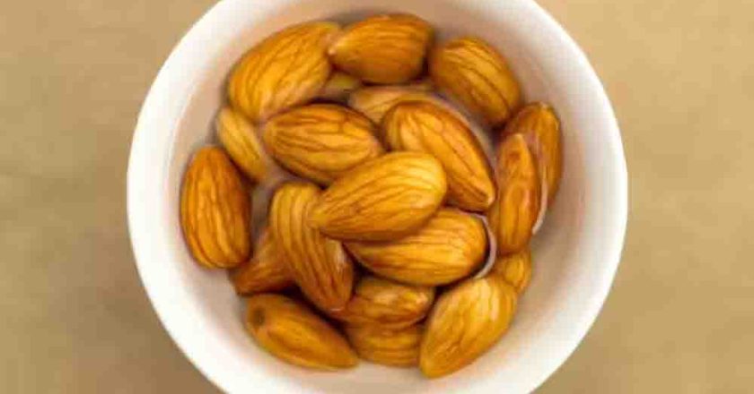 न्यूरोलॉजिस्ट ने बताए बादाम खाने के 4 सबसे सही तरीके, दिमाग की ताकत और याददाश्त बढ़ाने के लिए ऐसे करें सेवन