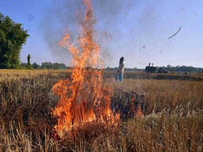 नरवाई में आग की 1016 घटनाएं, 19 किसानों पर 57 हजार जुर्माना, 852 को चिह्नित किया गया