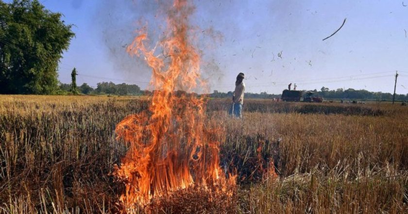 नरवाई में आग की 1016 घटनाएं, 19 किसानों पर 57 हजार जुर्माना, 852 को चिह्नित किया गया