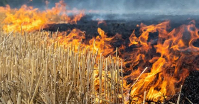 नरवाई जलाना खेत और सेहत दोनों के लिए हानिकारक : कृषि मंत्री कंषाना