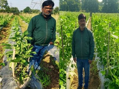उद्यानिकी की आधुनिक तकनीकों से किसान महेश कश्यप की बदली तकदीर