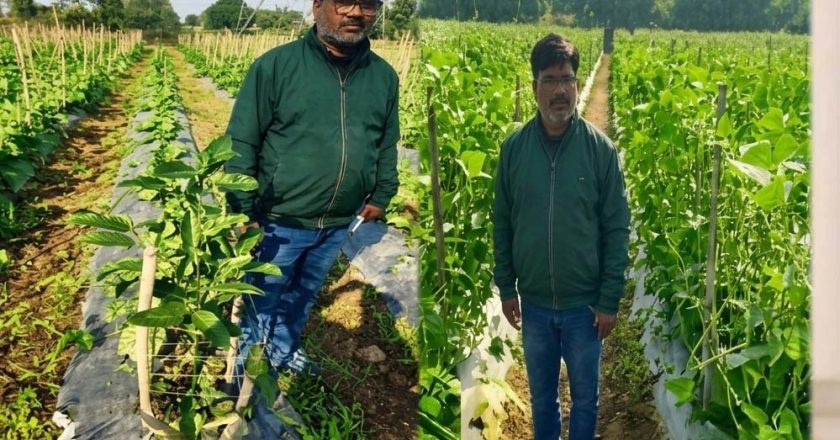 उद्यानिकी की आधुनिक तकनीकों से किसान महेश कश्यप की बदली तकदीर
