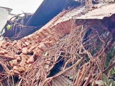 बिहार में आंधी-बारिश और ओलावृष्टि से 13 की मौत, कई जिलों में तबाही