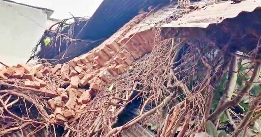 बिहार में आंधी-बारिश और ओलावृष्टि से 13 की मौत, कई जिलों में तबाही