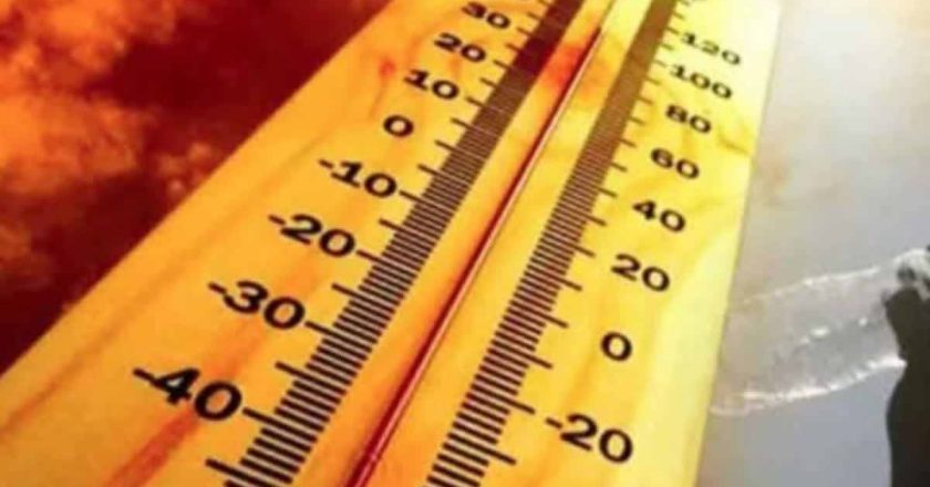 हरियाणा में भीषण गर्मी का कहर, कई जिलों में पारा 46 डिग्री के पार