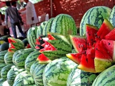 तरबूज से मौत की खबरों का असर, खरीदार गायब; कई शहरों में दाम 30% तक गिरे