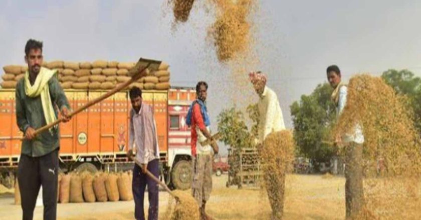 हरियाणा के किसान अब तंजानिया में भी कर सकेंगे खेती, सरकार ने विदेशी कृषि निवेश को दी मंजूरी