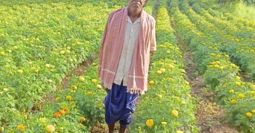 धान छोड़ फूलों की खेती ने बदली आनंदराम की तकदीर