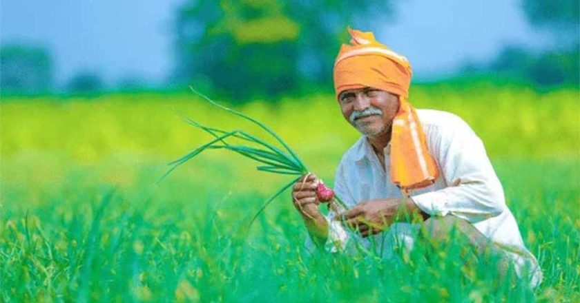 बदलती खेती में नैनो यूरिया और नैनो डीएपी बन रहे किसानों की नई पसंद