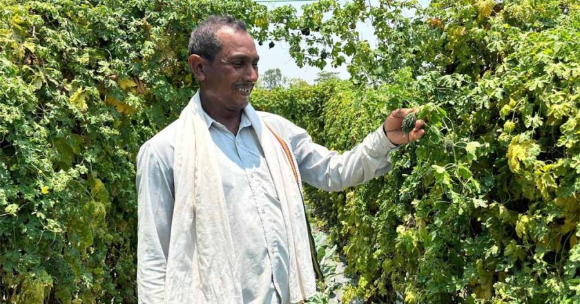 वाटरशेड योजना बनी किसान छबी लाल की समृद्धि का आधार