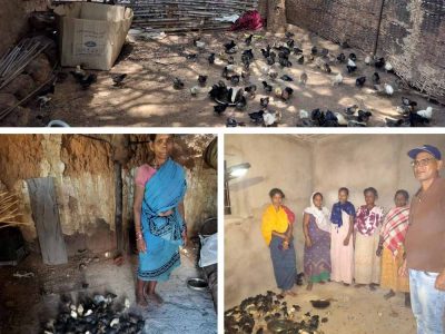 नियद नेल्लानार योजना: कच्चापाल जलप्रपात के पास ‘इन्द्रावती समूह’ की महिलाएँ मुर्गी पालन से लिख रहीं आत्मनिर्भरता की नई इबारत
