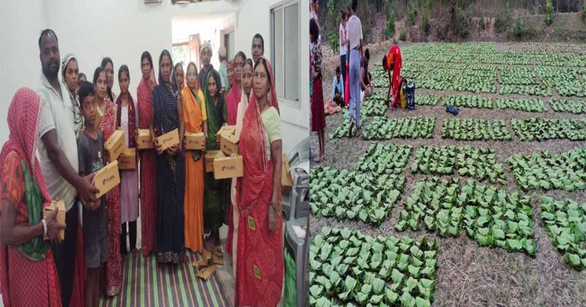 तेन्दूपत्ता से बदली जिंदगी, बढ़ी आय और सम्मान बढ़ी आय और सम्मान