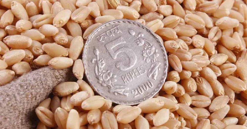 एमपी के किसानों को बड़ा झटका: FCI ने 17 हजार मीट्रिक टन गेहूं किया रिजेक्ट