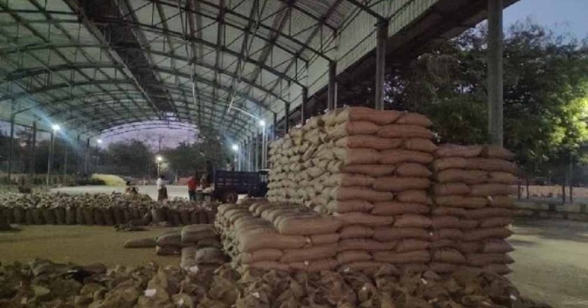 MP में रिकॉर्ड गेहूं खरीदी! 13.36 लाख किसानों से 103 लाख मीट्रिक टन उपार्जन