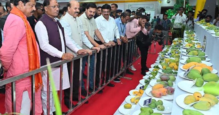 धनबाद आमोत्सव में दिखा जापानी मियाज़ाकी आम का क्रेज, कीमत 3 लाख रुपये किलो