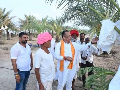 पाली में मंत्री ने देखा प्राकृतिक खजूर बाग, किसान की 10 लाख आय