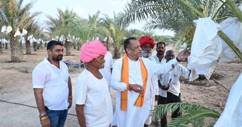 पाली में मंत्री ने देखा प्राकृतिक खजूर बाग, किसान की 10 लाख आय