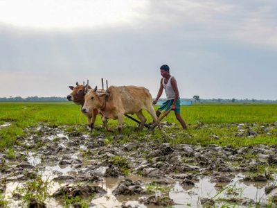 Al-Niño Effect: केरल में कमजोर पड़ा मानसून, 33% कम बारिश से किसानों की बढ़ी चिंता