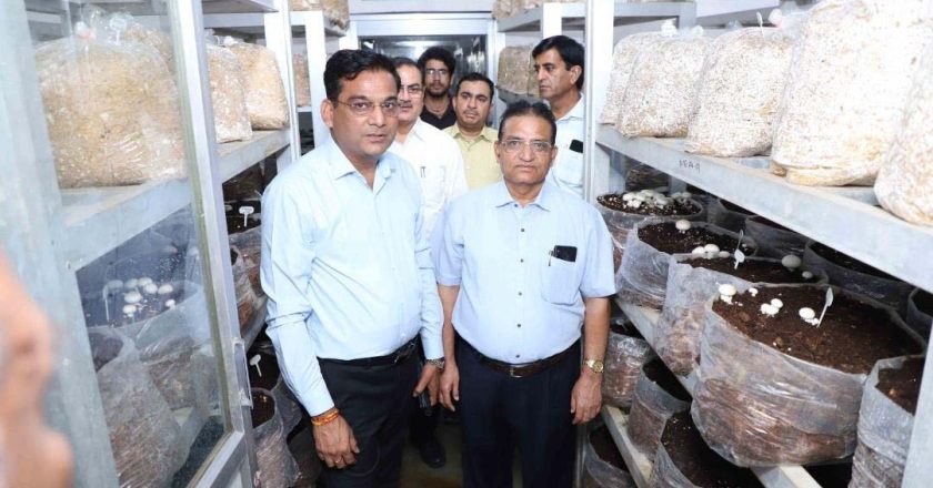 Naresh Kumar Goyal के उदयपुर दौरे में कृषि नवाचार, प्राकृतिक खेती और मशरूम उत्पादन को बढ़ावा देने पर जोर