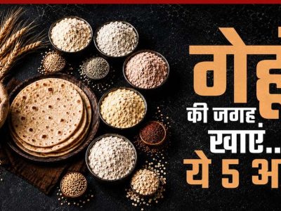 गेहूं का हेल्दी विकल्प: 5 हाई-फाइबर आटे जो बढ़ाएं सेहत